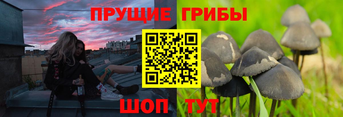 Нижний Тагил  Галлюциногенные грибы ЛСД  Вход с VPN 